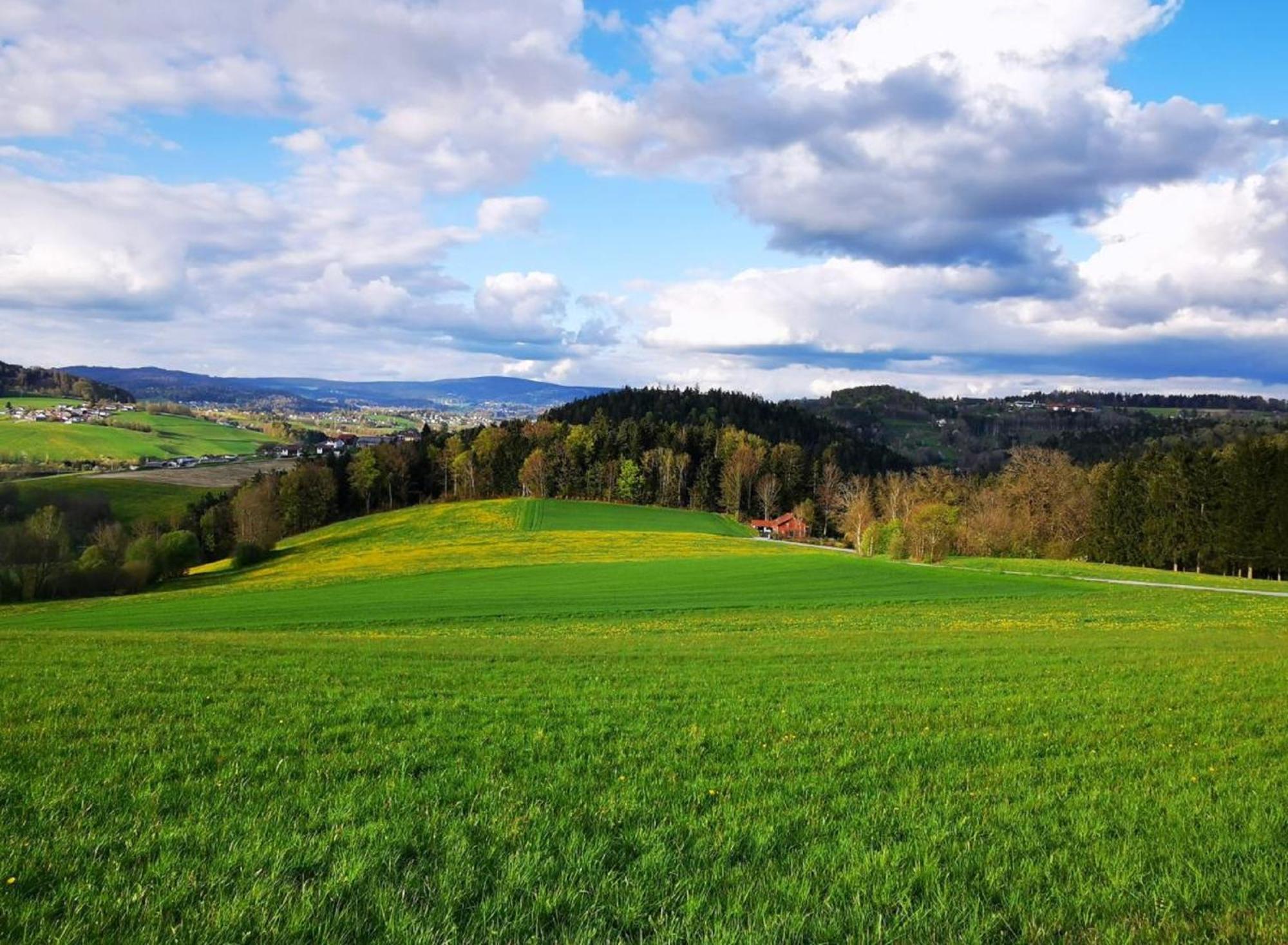 Ferienwohnung Am Woid - Herrliche Alleinlage - Vegane Einrichtung 瓦尔德基兴 外观 照片