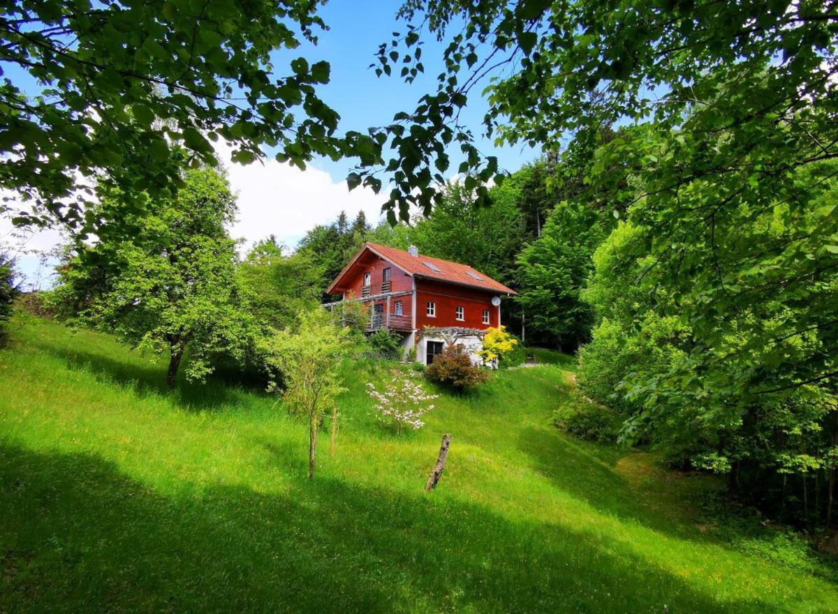 Ferienwohnung Am Woid - Herrliche Alleinlage - Vegane Einrichtung 瓦尔德基兴 外观 照片